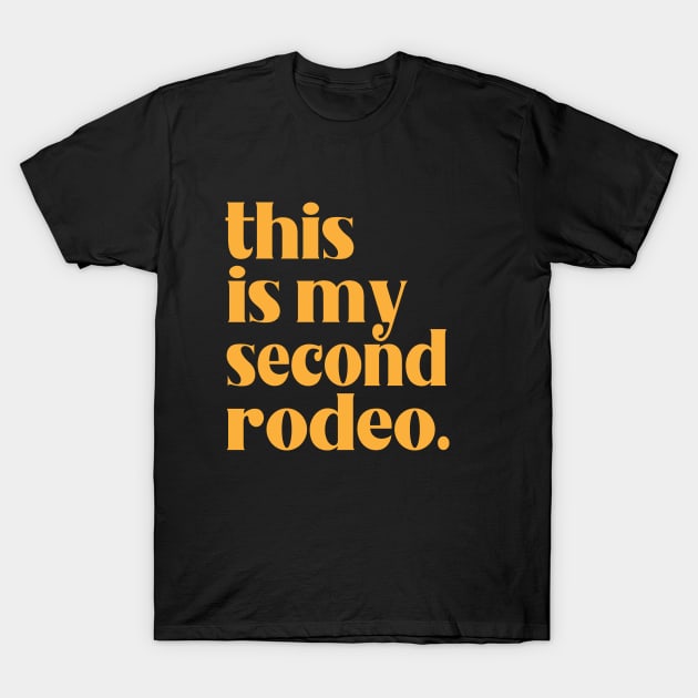 This is my second rodeo - Not Quite a Noob, but Definitely Not a Pro T-Shirt by ZaikyArt